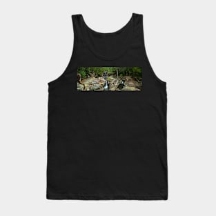 Crystal Creek Falls - Paluma Range - North Queensland Tank Top